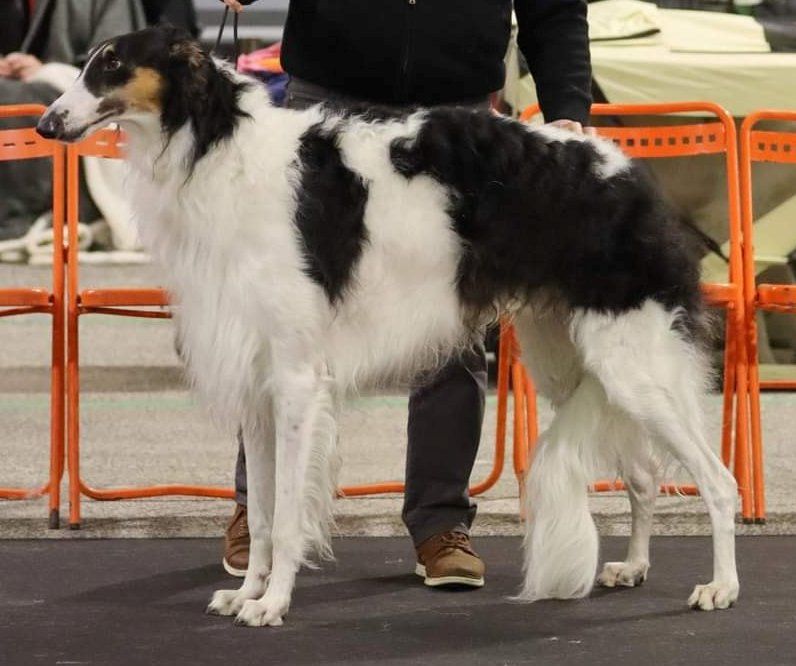 Publication : d'otchoa