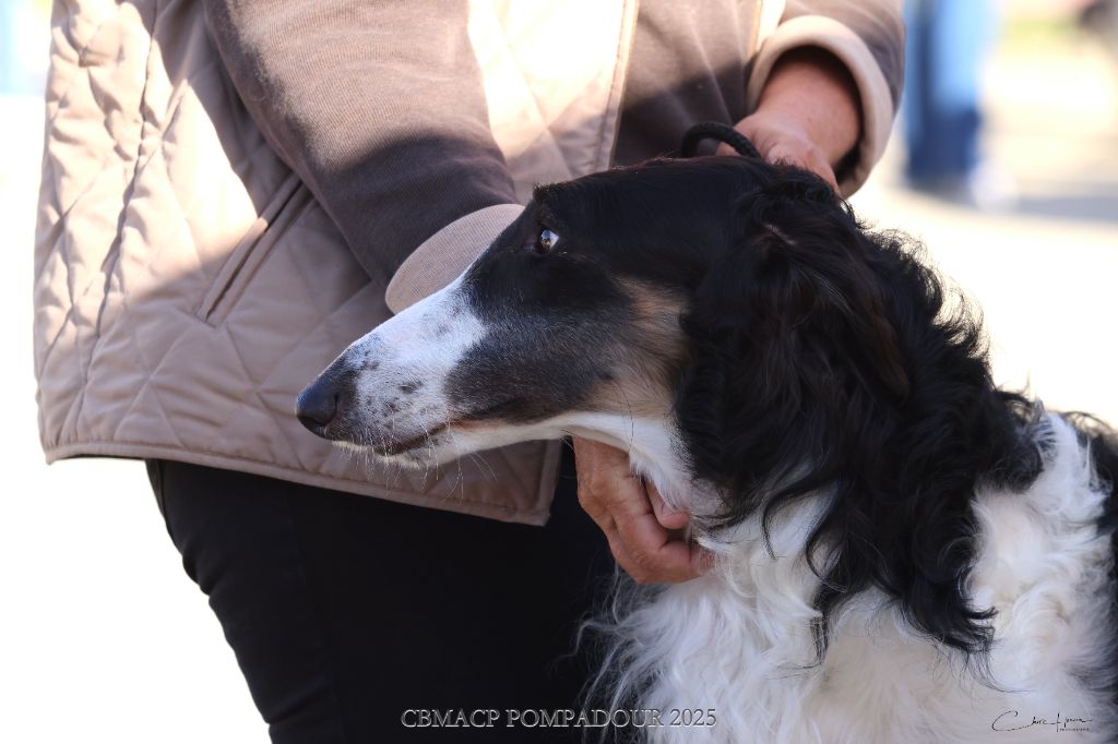 CH. United colors d'otchoa