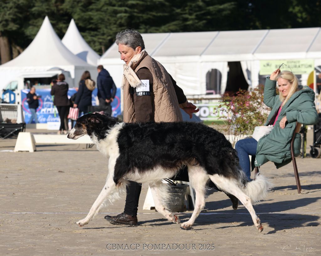 CH. United colors d'otchoa