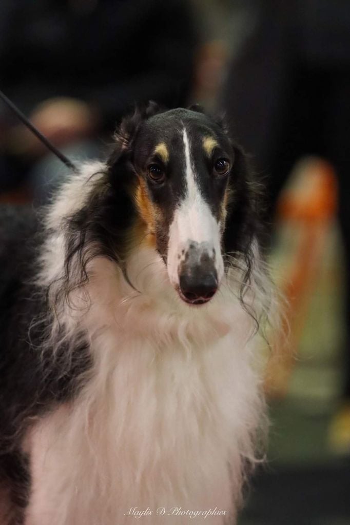 Publication : d'otchoa