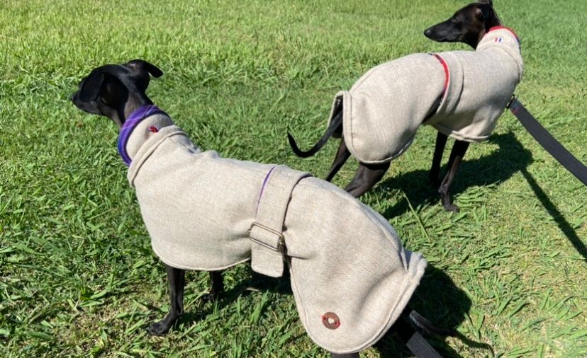 Théma des princes de Kazan - EXCELLENT 2ÈME