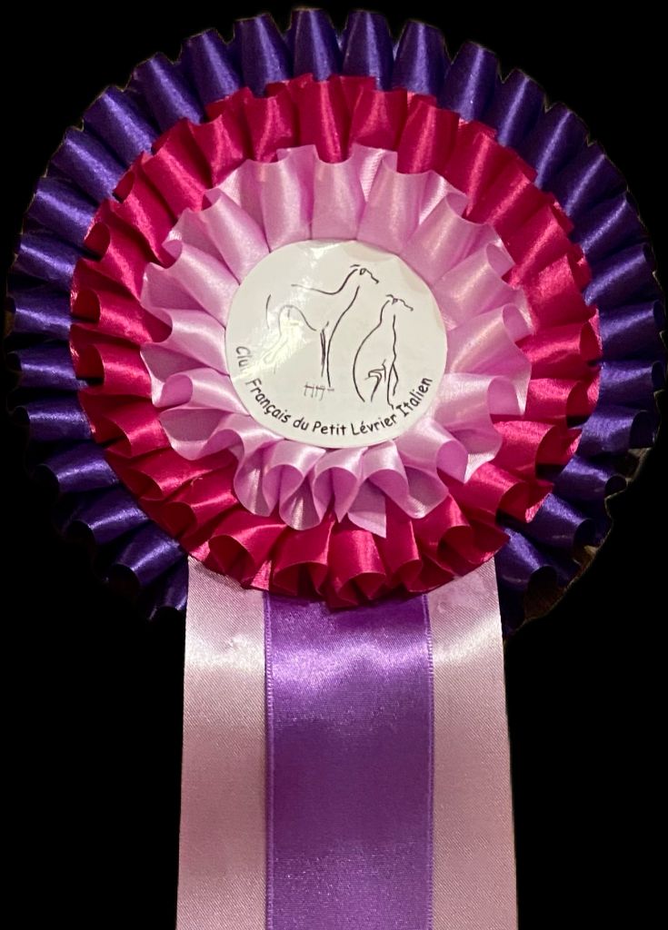 Théma des princes de Kazan - CACT 1ERE EXCELLENT