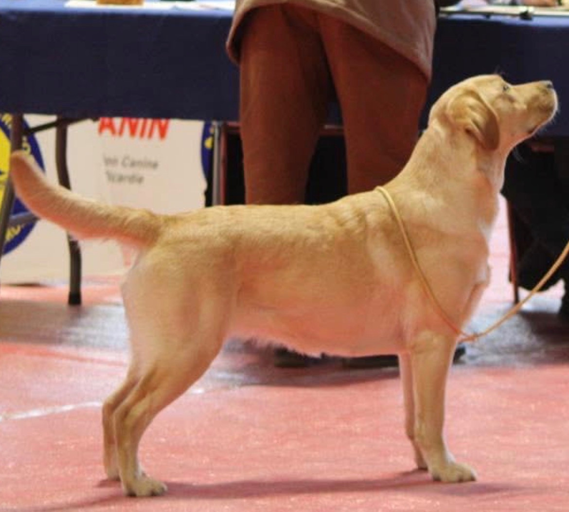 Vinta Des Herbus De L'Olonde