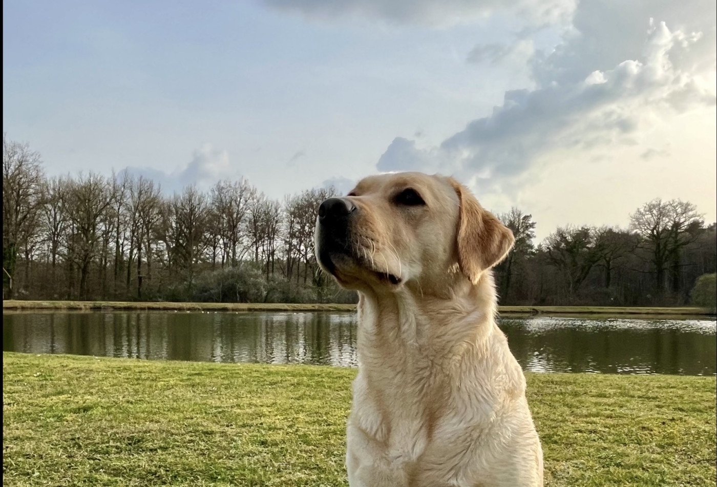 Vinta Des Herbus De L'Olonde - 4eme place