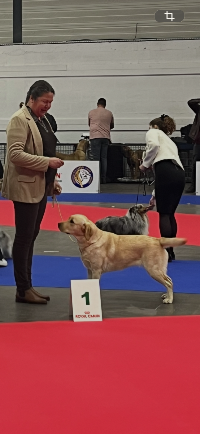 Vinta Des Herbus De L'Olonde - 1er excellent classe travail