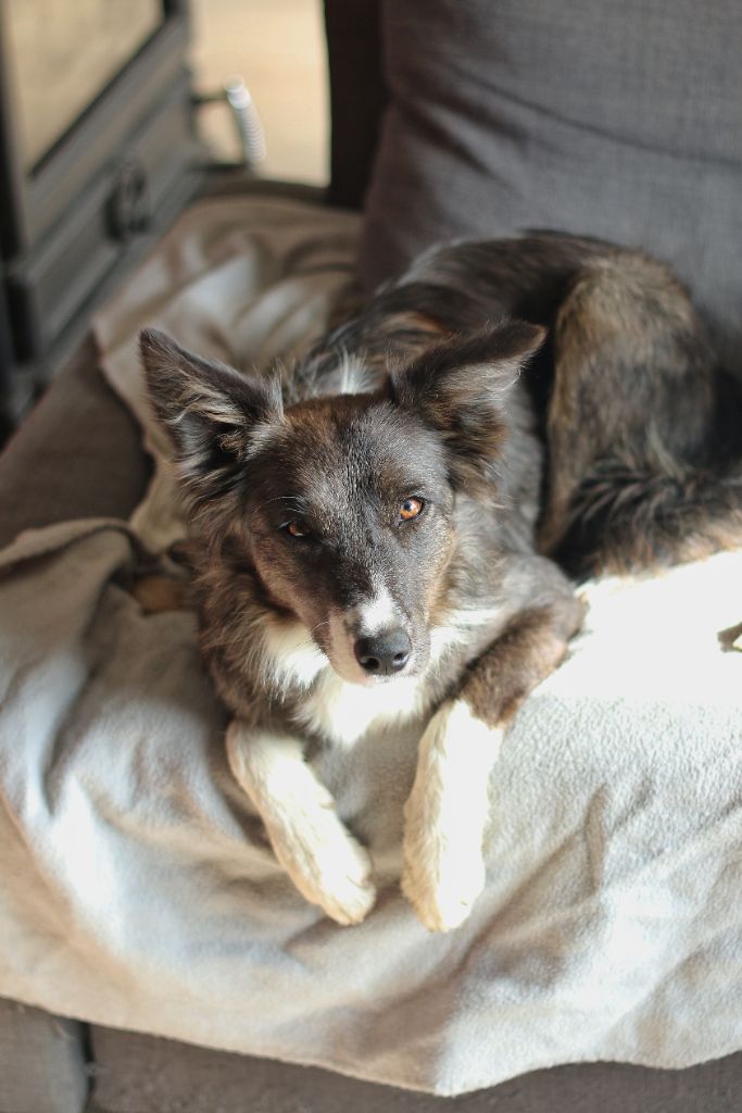 Very much in love kamrya Des Ginkgo Bleus