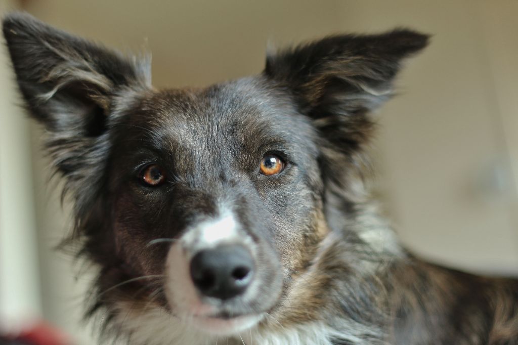 Very much in love kamrya Des Ginkgo Bleus