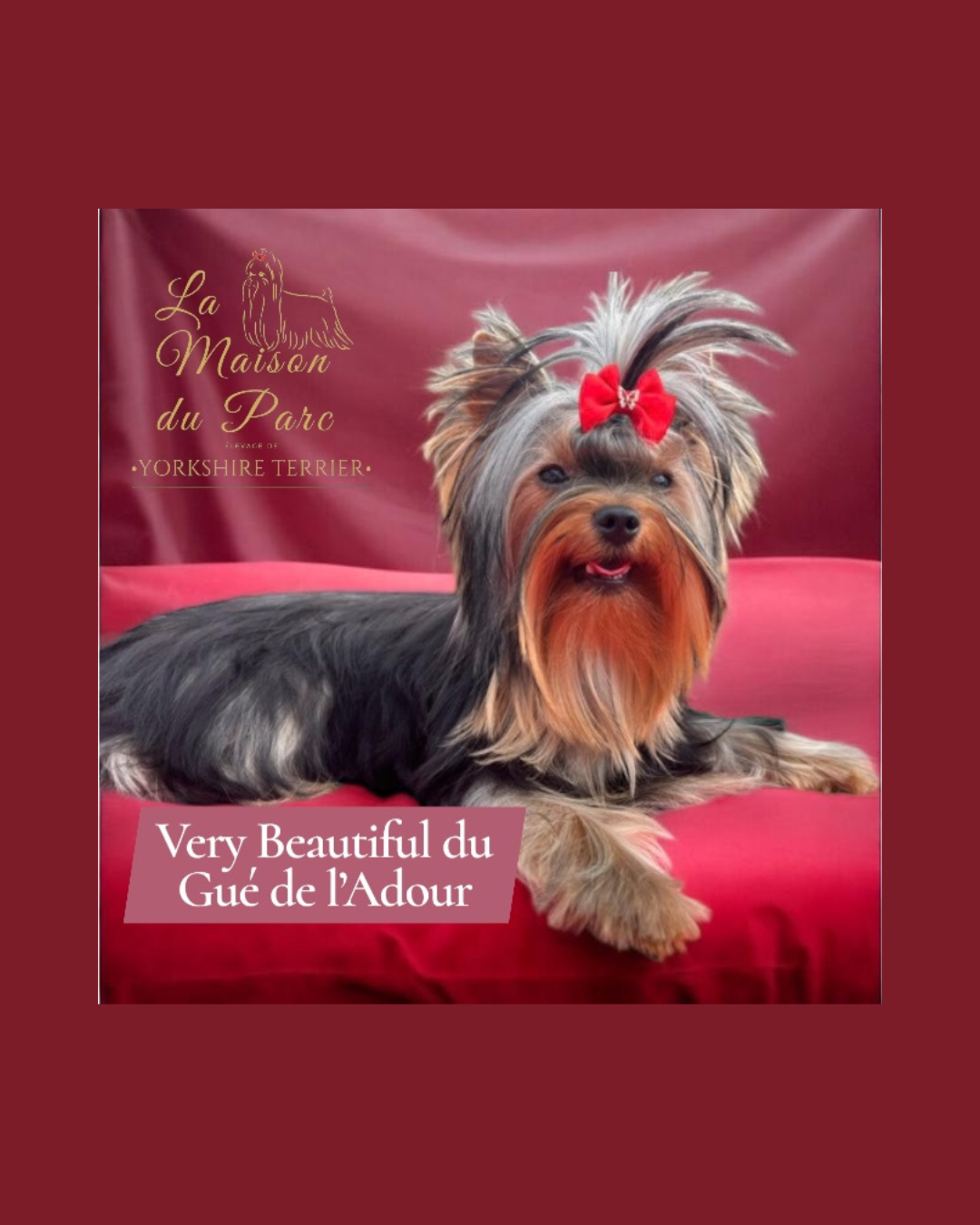 Publication : De La Maison Du Parc
