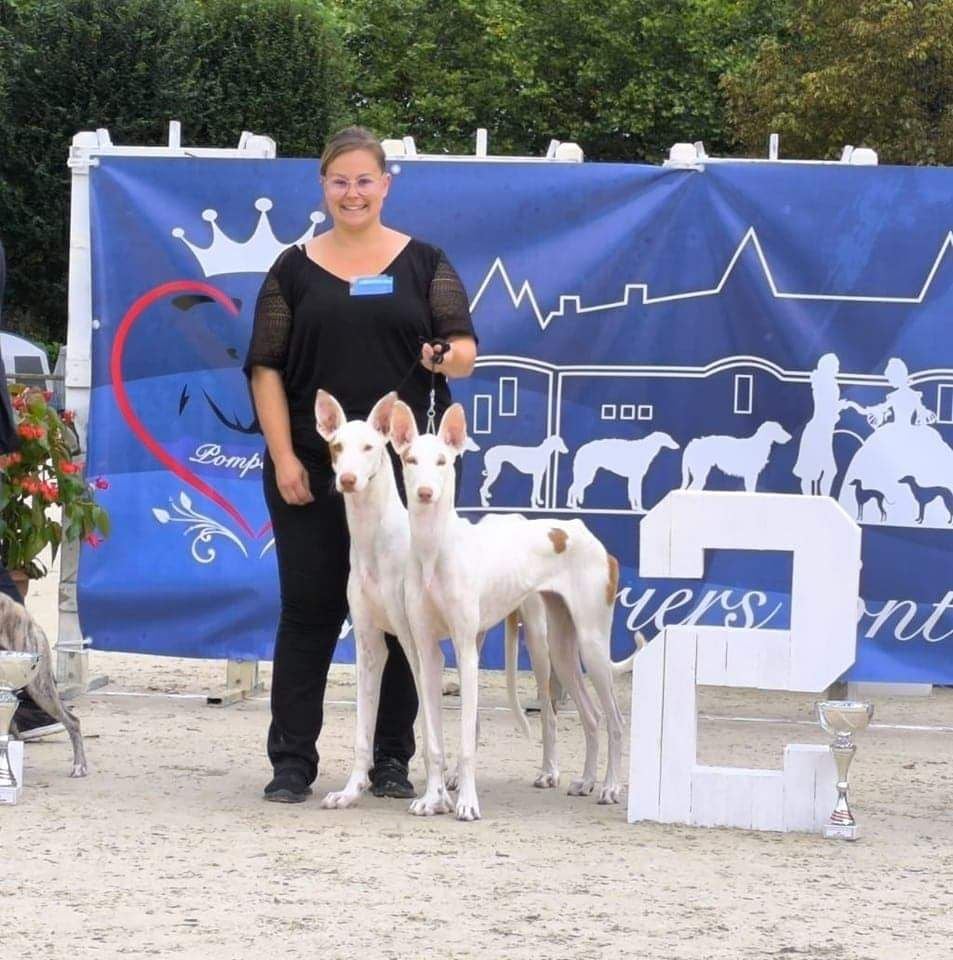 Alma Ardiente Unbelievable love artémis