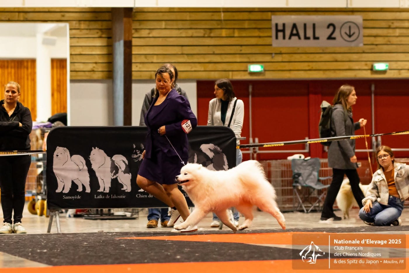 snezhnoe ocharovanie Lichy