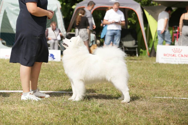 snezhnoe ocharovanie Lichy