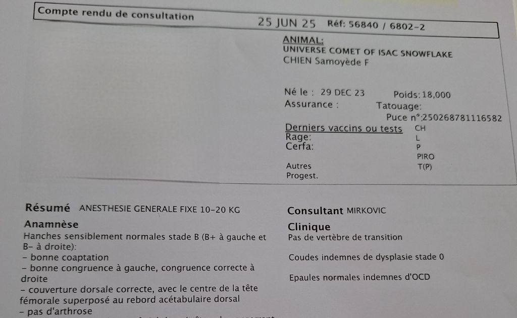 Universe comet Of Isac Snowflake