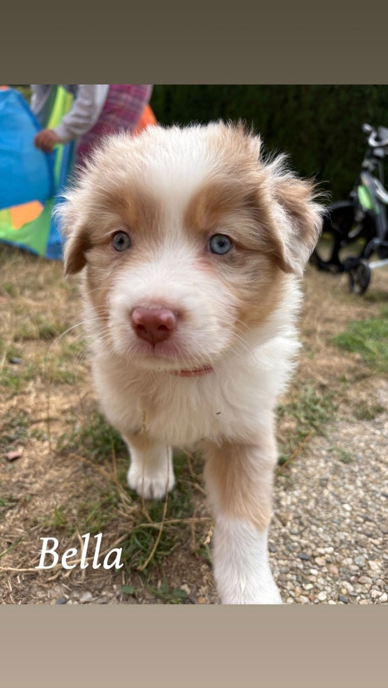 Bella