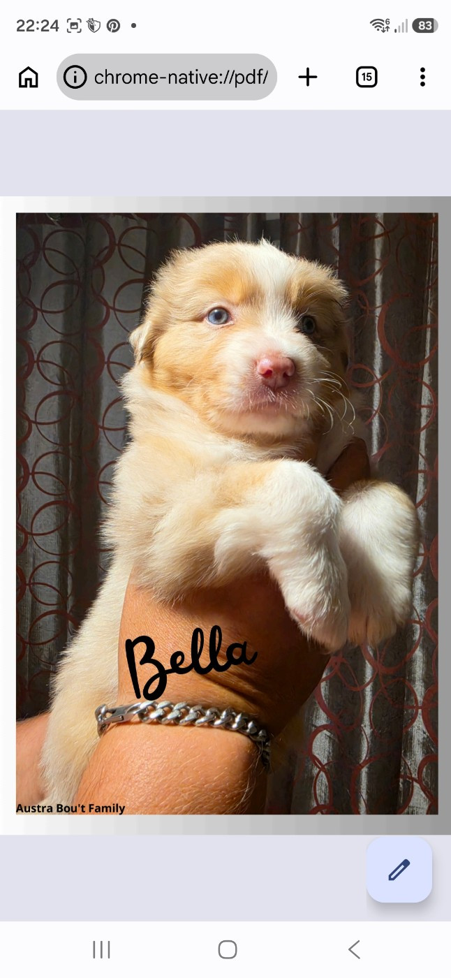 Bella