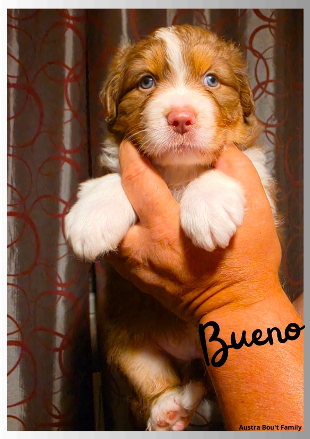Bueno