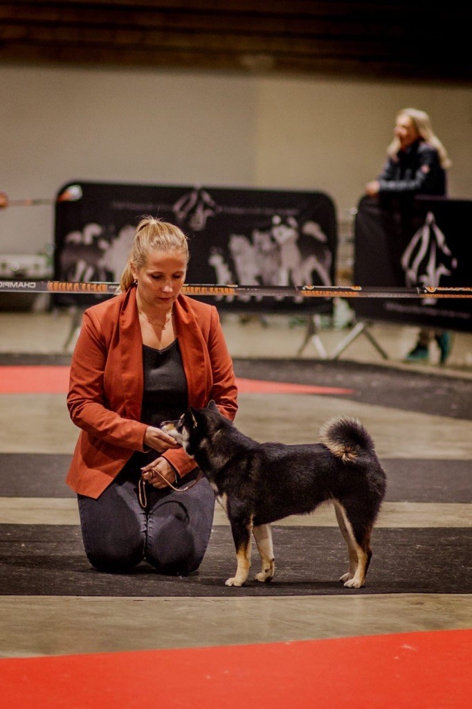 Vvaka hana mizumi Domaine Des Sept Loups