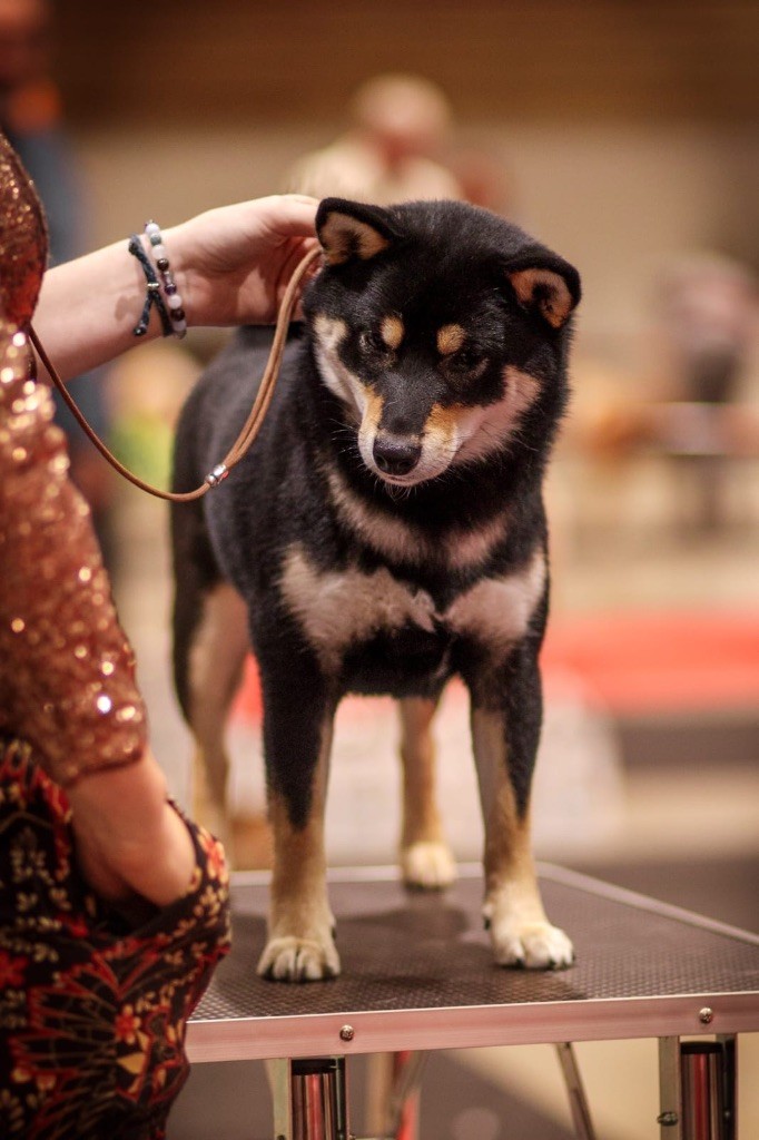 Vvaka hana mizumi Domaine Des Sept Loups