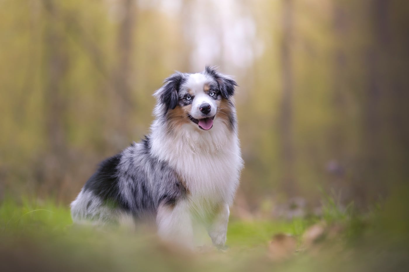 Sushi time de Stophiane