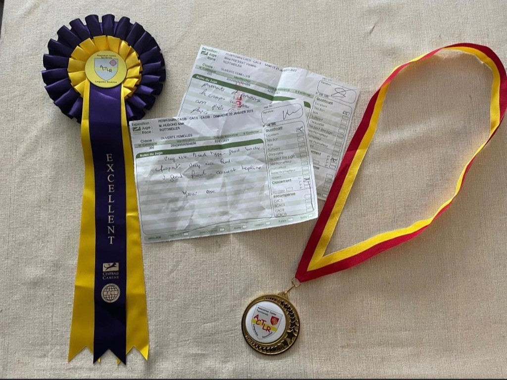 Shanel Des Feux D'Anaka - 2ème EXCELLENT ouverte femelles