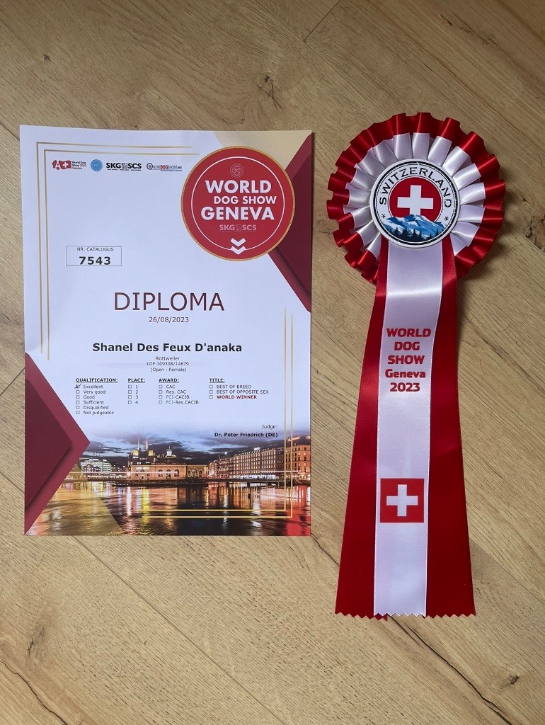 Shanel Des Feux D'Anaka - Qualification EXCELLENT