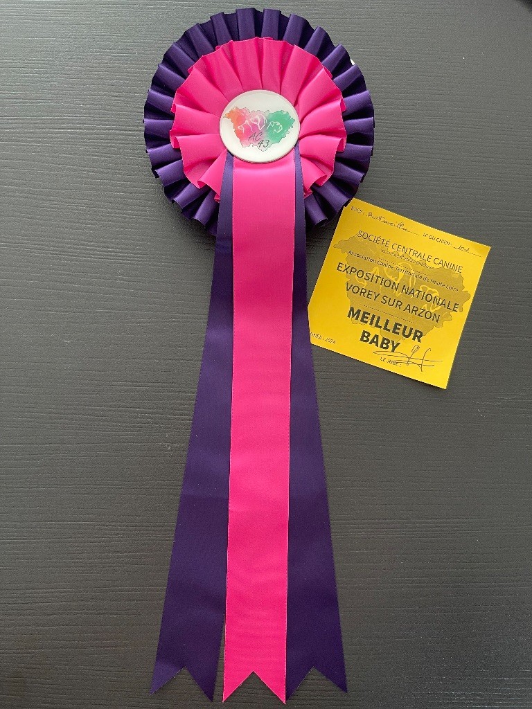 Vaiana L'Empreinte De Shalo - 1er Très prometteur + Meilleur Baby