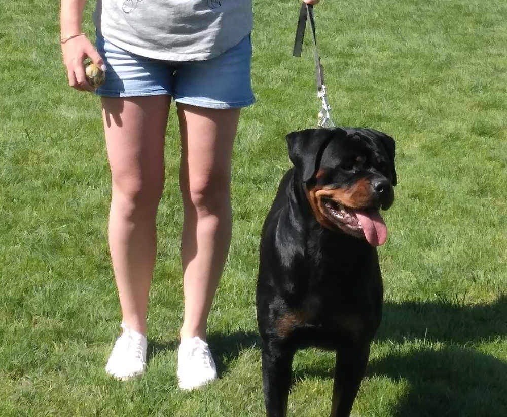 Shanel Des Feux D'Anaka - 1er EXCELLENT