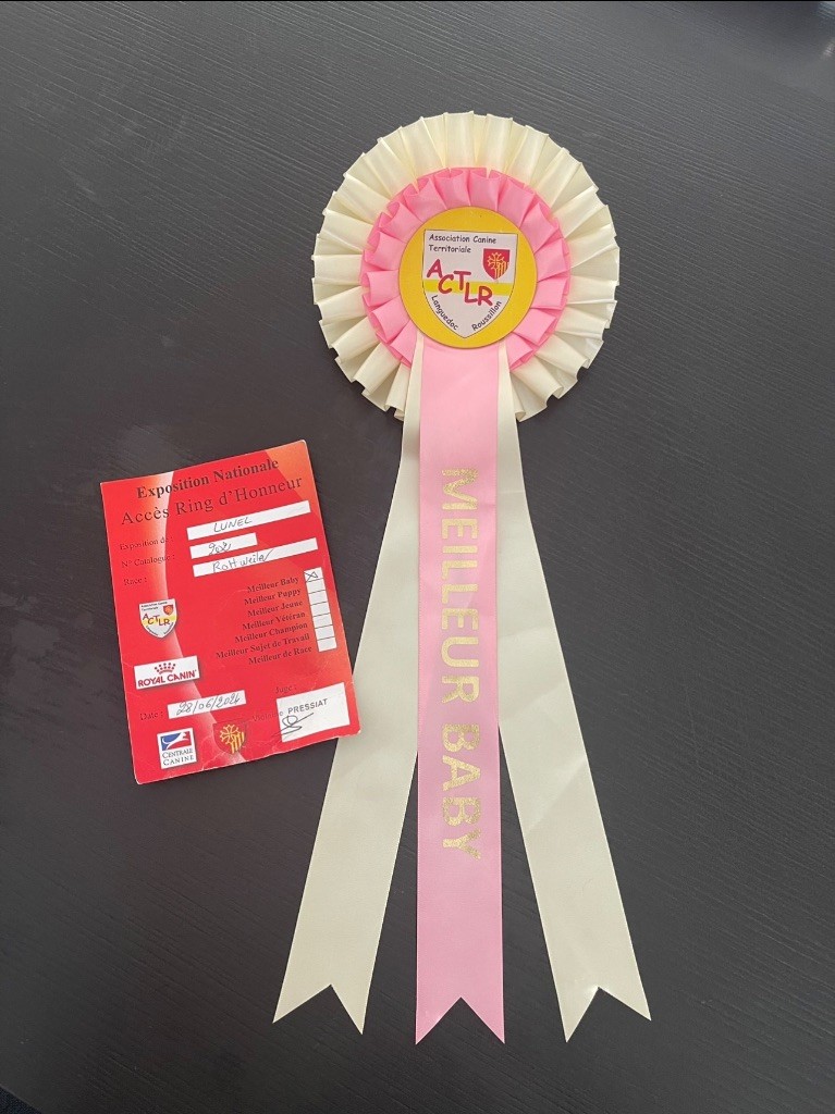 Vaiana L'Empreinte De Shalo - 1er Très Prometteur + MEILLEUR BABY