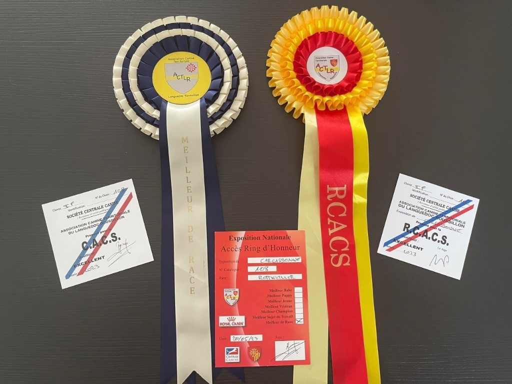 Shanel Des Feux D'Anaka - 2ème EXCELLENT + RCACS