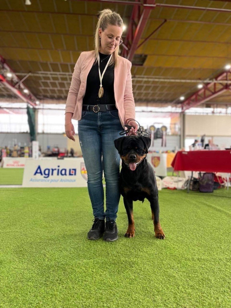 Shanel Des Feux D'Anaka - 1ère EXCELLENT ouverte femelles