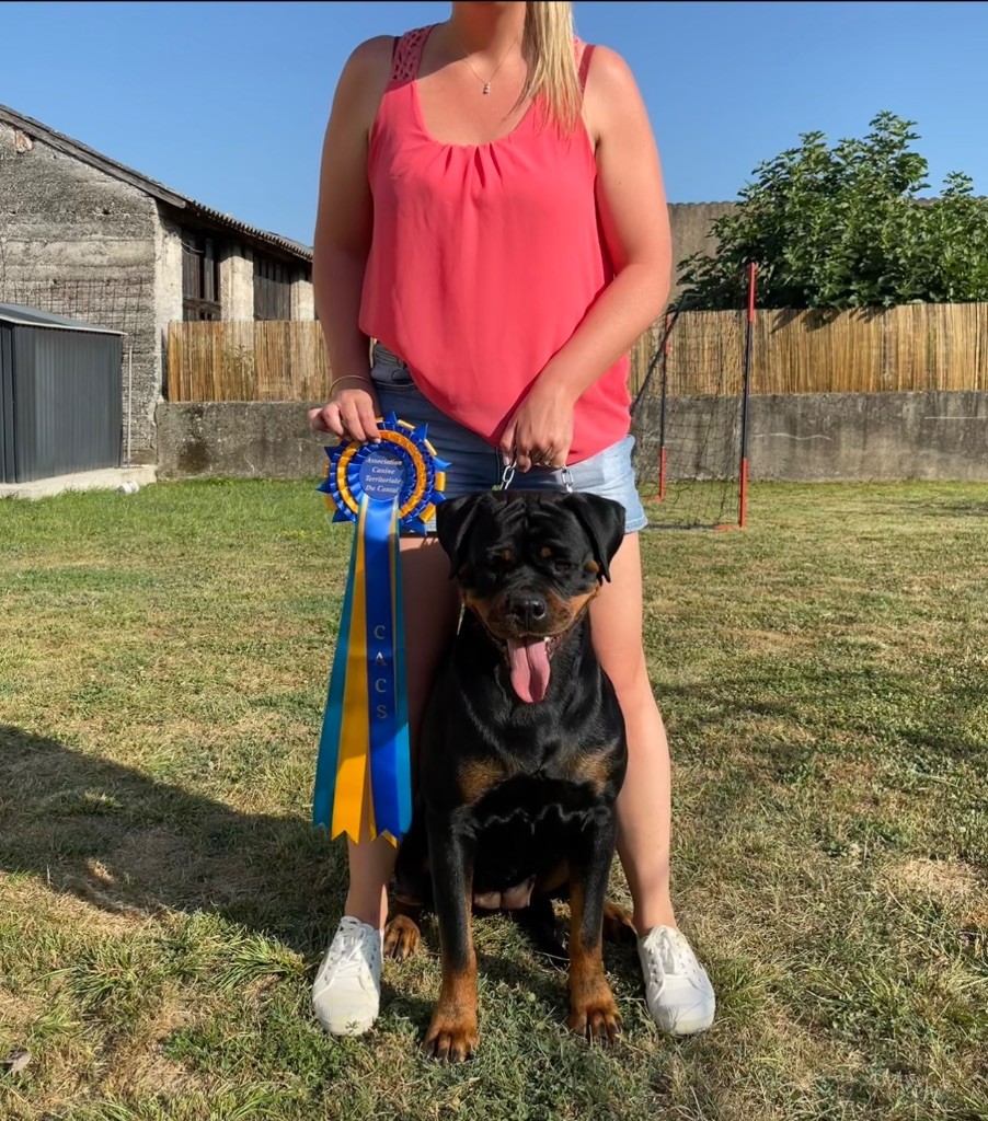 Shanel Des Feux D'Anaka - 1er EXCELLENT + CACS + Meilleure de race