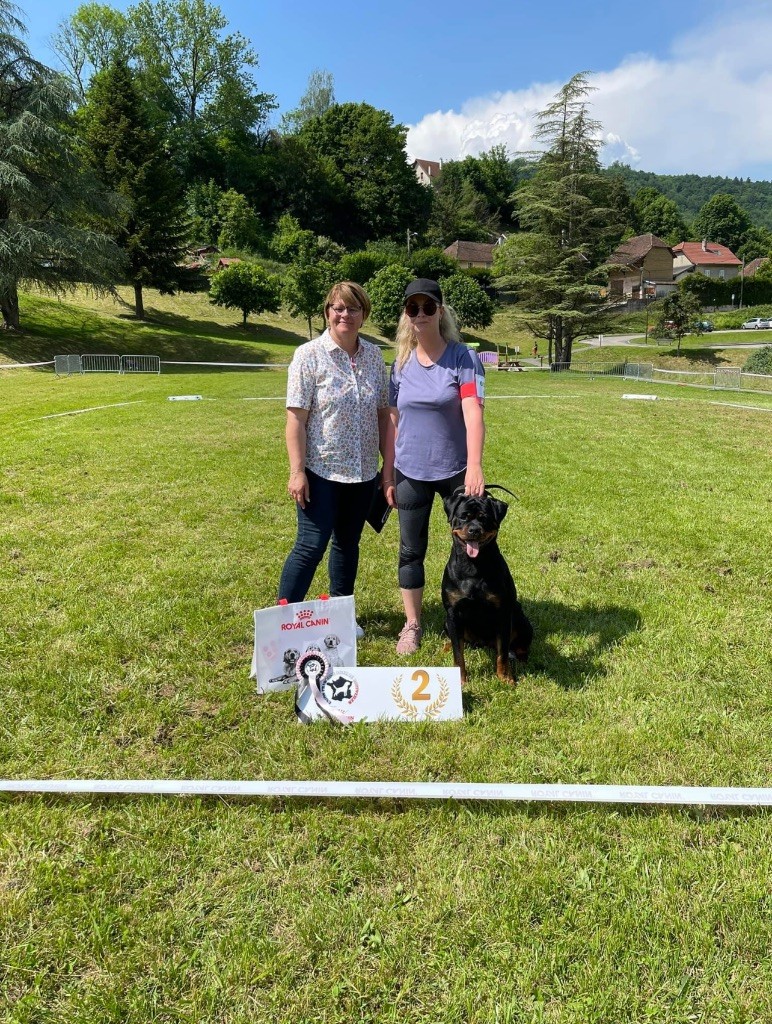 Shanel Des Feux D'Anaka - 2ème EXCELLENT classe ouverte sur 10 chiens inscrit