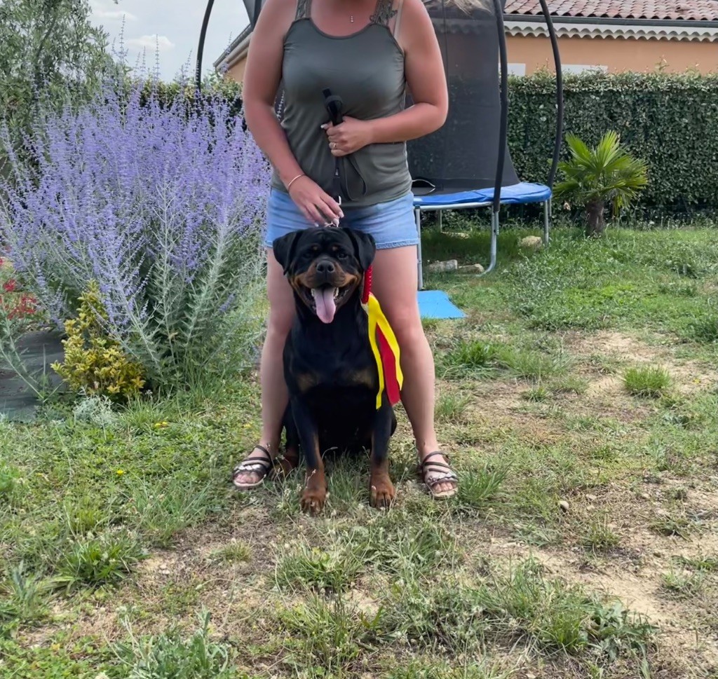 Shanel Des Feux D'Anaka - 1er EXCELLENT + RCACS