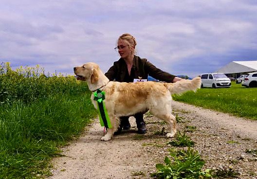 Publication : De L'Abbaye Felgère Auteur : Estelle RIEG