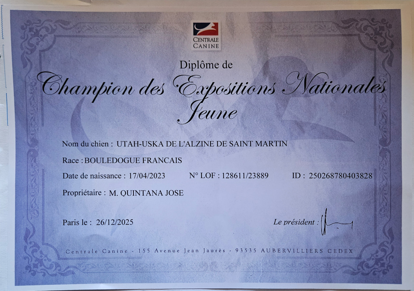 Publication : De L' Alzine De Saint-Martin Auteur : De L'Alzine de Saint-Martin