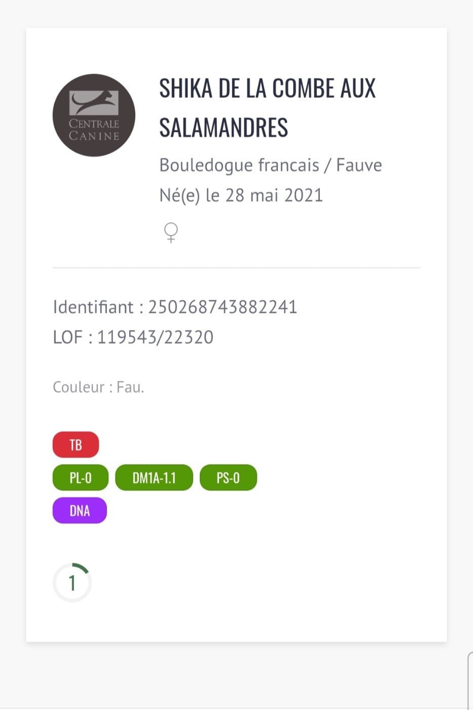 Publication : De L' Alzine De Saint-Martin Auteur : Nathalie QUINTANA