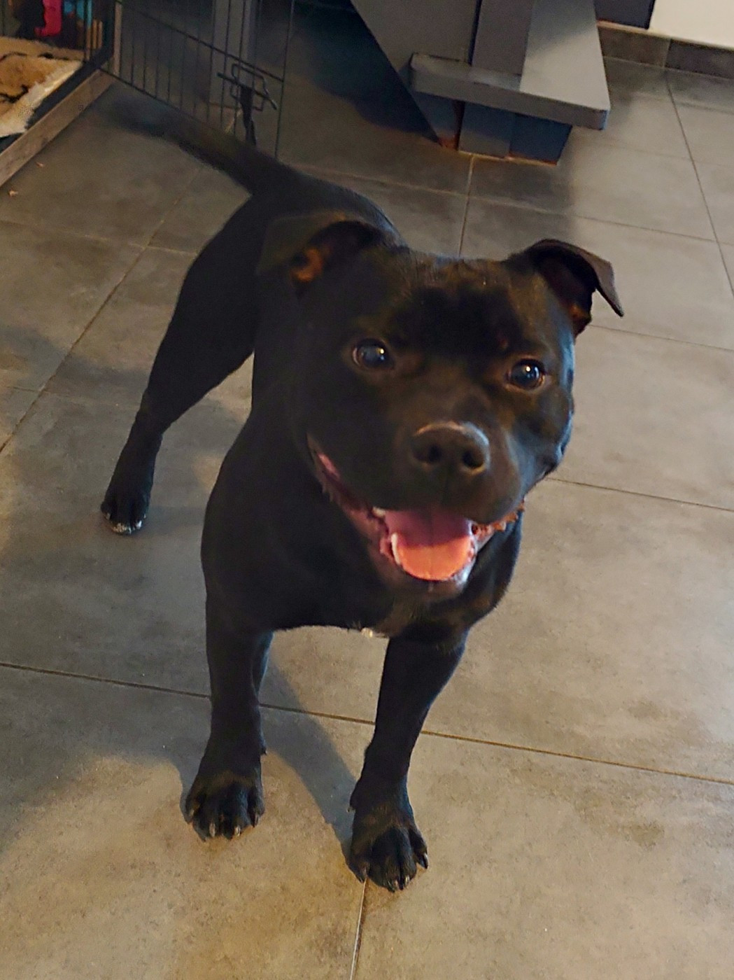 Air jordan Ofthe Puil