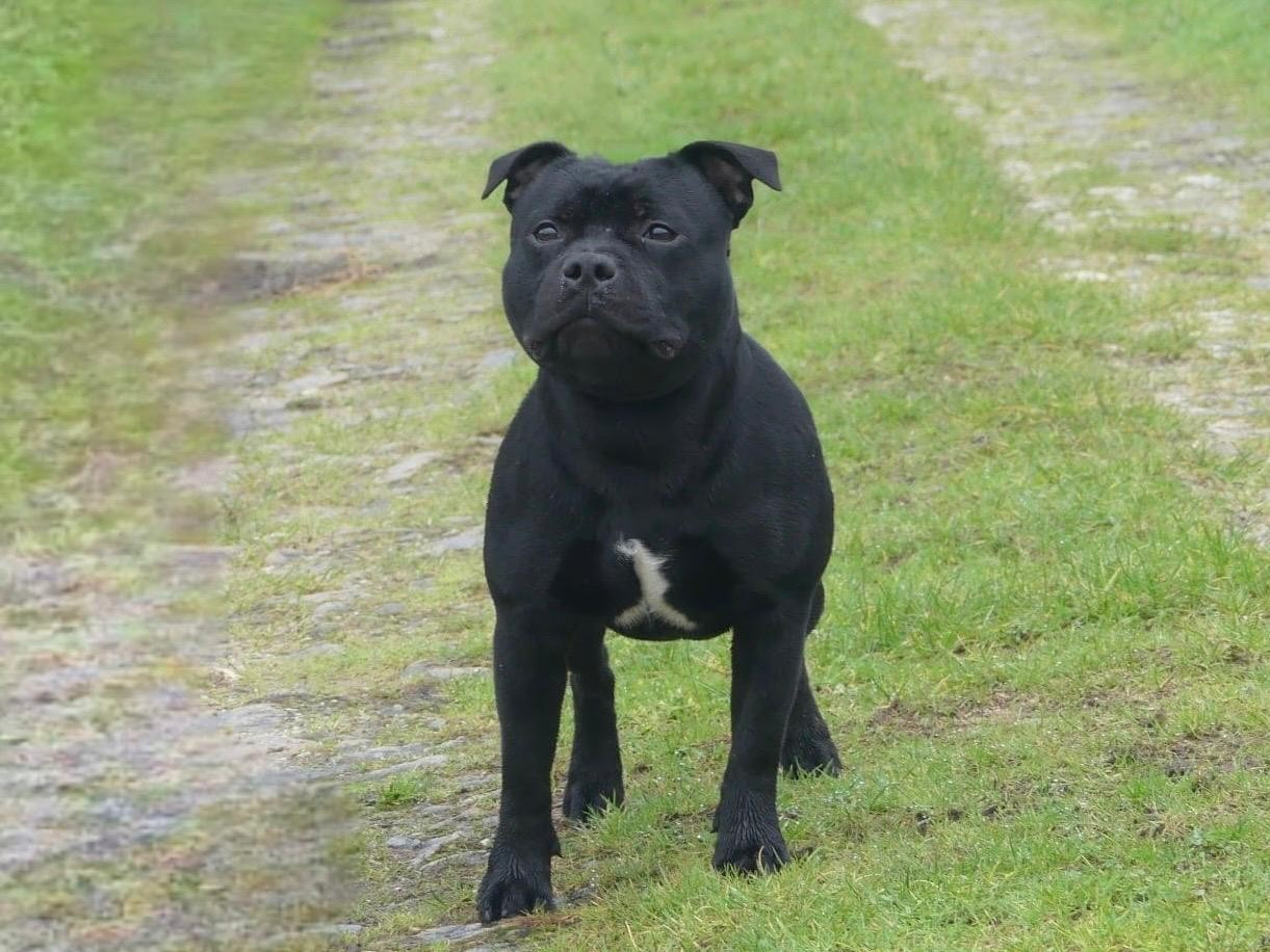 Publication : Ofthe Puil