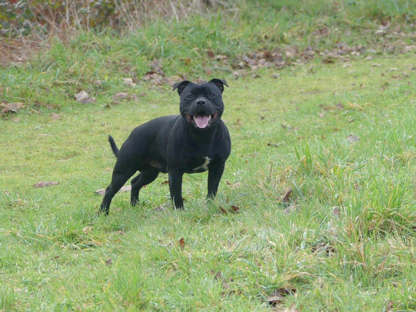 Publication : Ofthe Puil