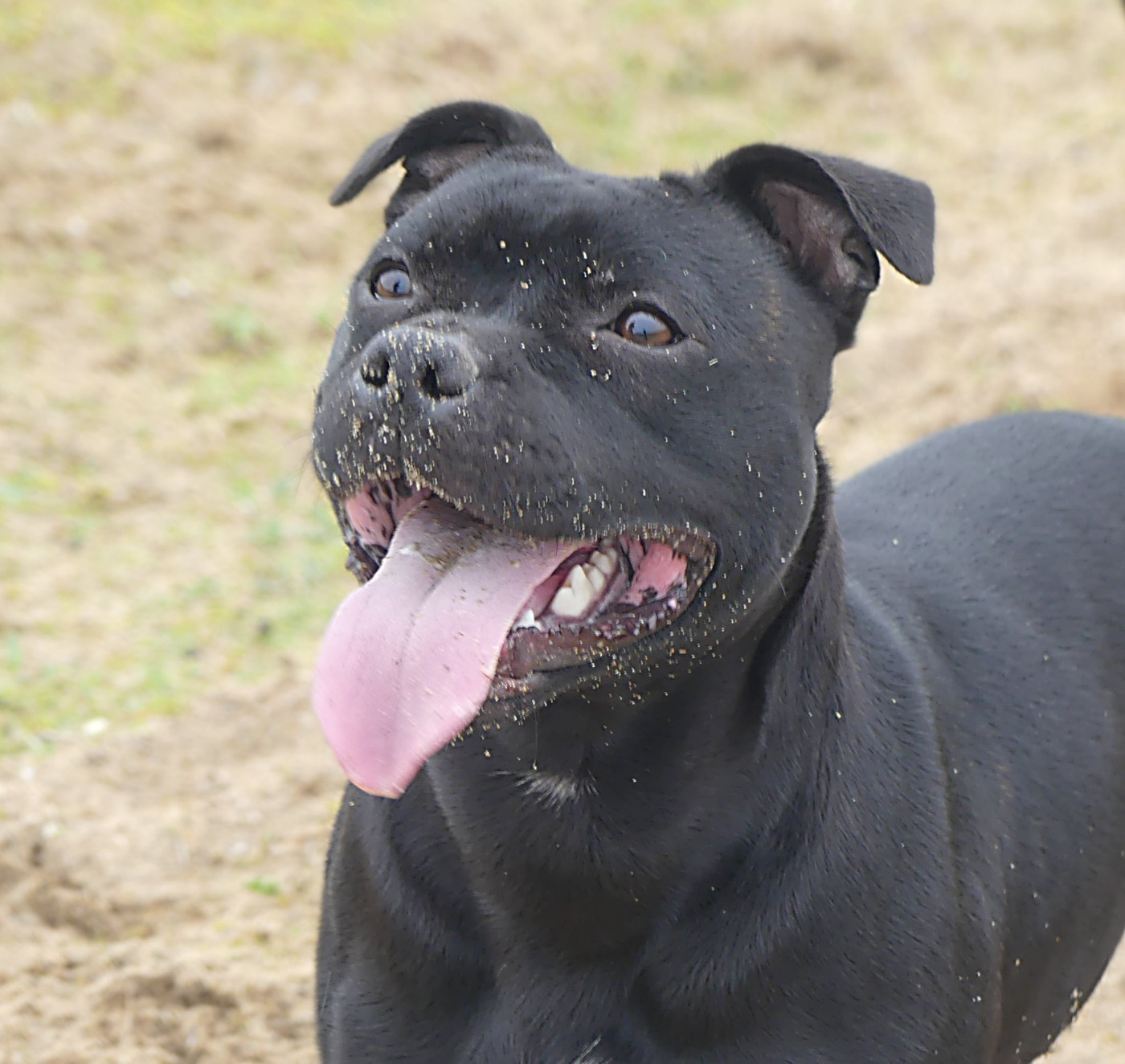 Publication : Ofthe Puil