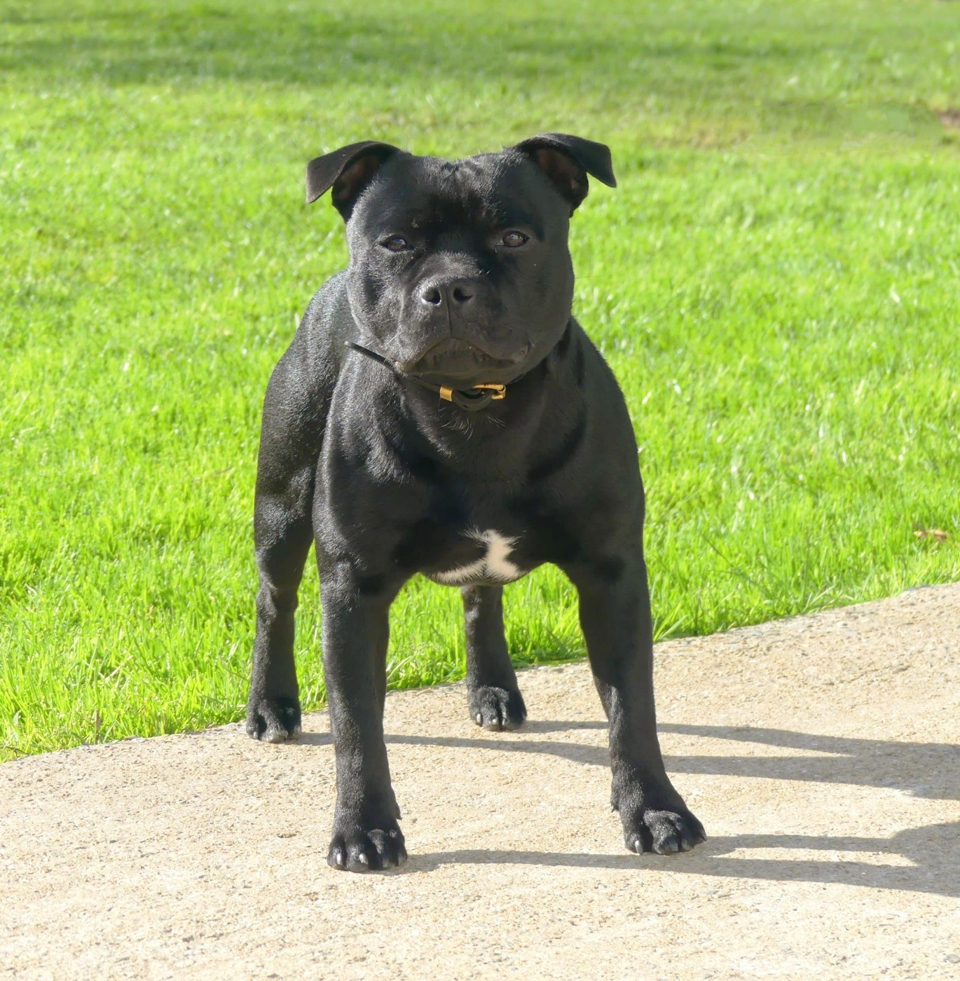 Air jordan Ofthe Puil