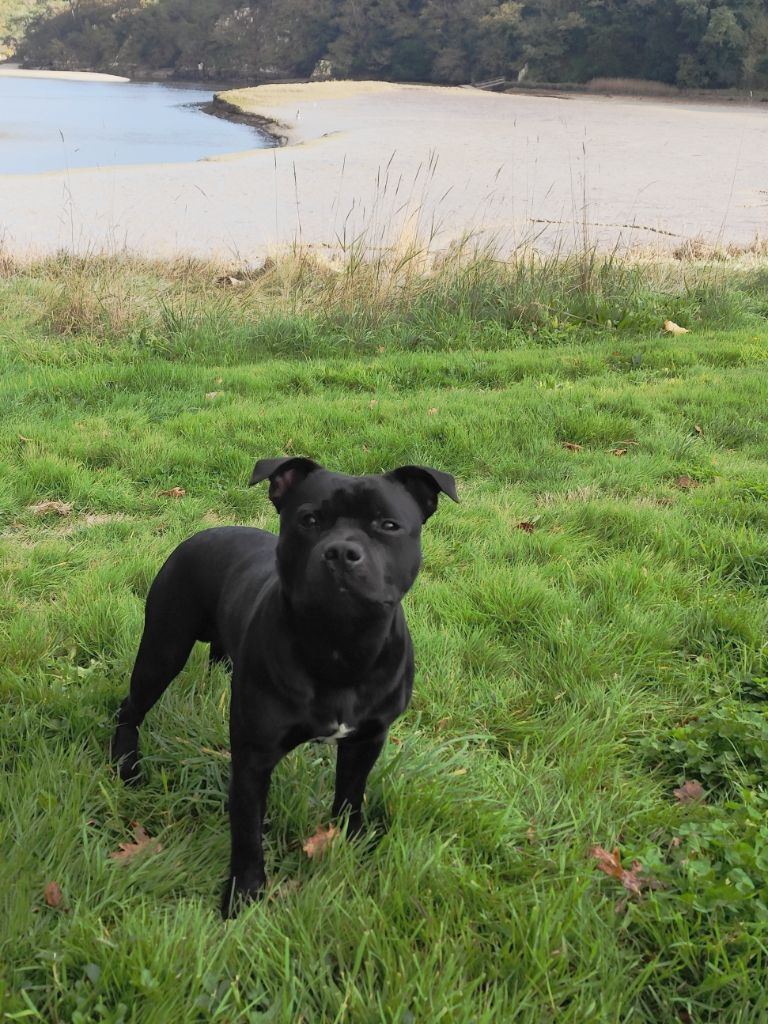 Air jordan Ofthe Puil