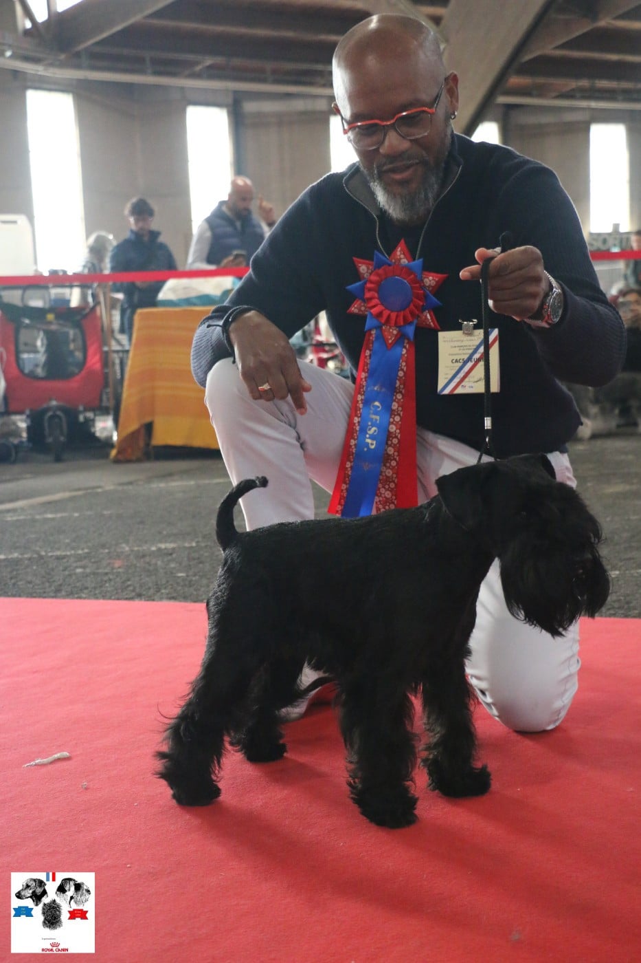 Vinicius Back To The Start - 1er Exc/CACS-J/Meilleur jeune/Meilleur jeune nain de la NE