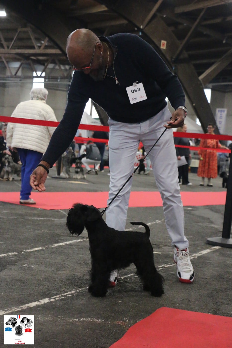 Vinicius Back To The Start - 1er Exc/CACIB-J/Meilleur jeune