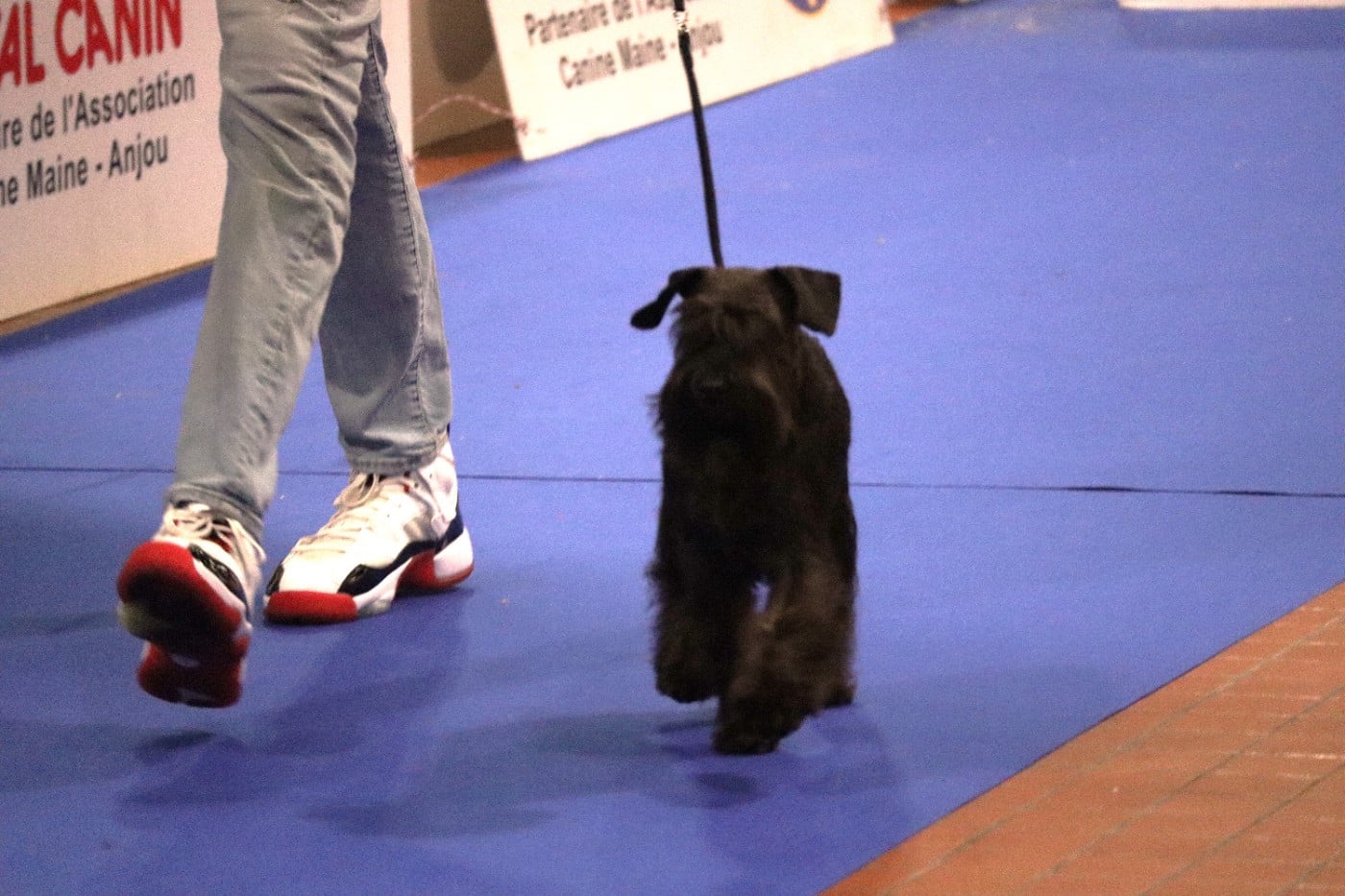 Vinicius Back To The Start - Très Prometteur