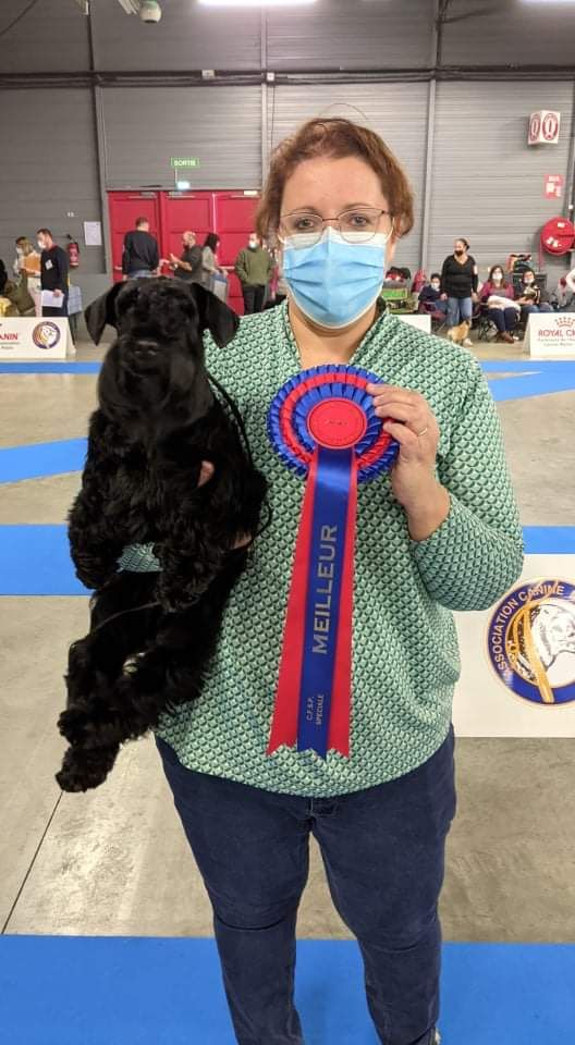 CH. Real dream At Future Look - Meilleure jeune de la spéciale / 2e meilleure jeune du groupe 2