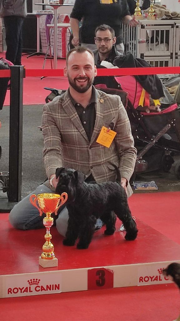 CH. Real dream At Future Look - Meilleure jeune de la spéciale/3e meilleure jeune du groupe 2