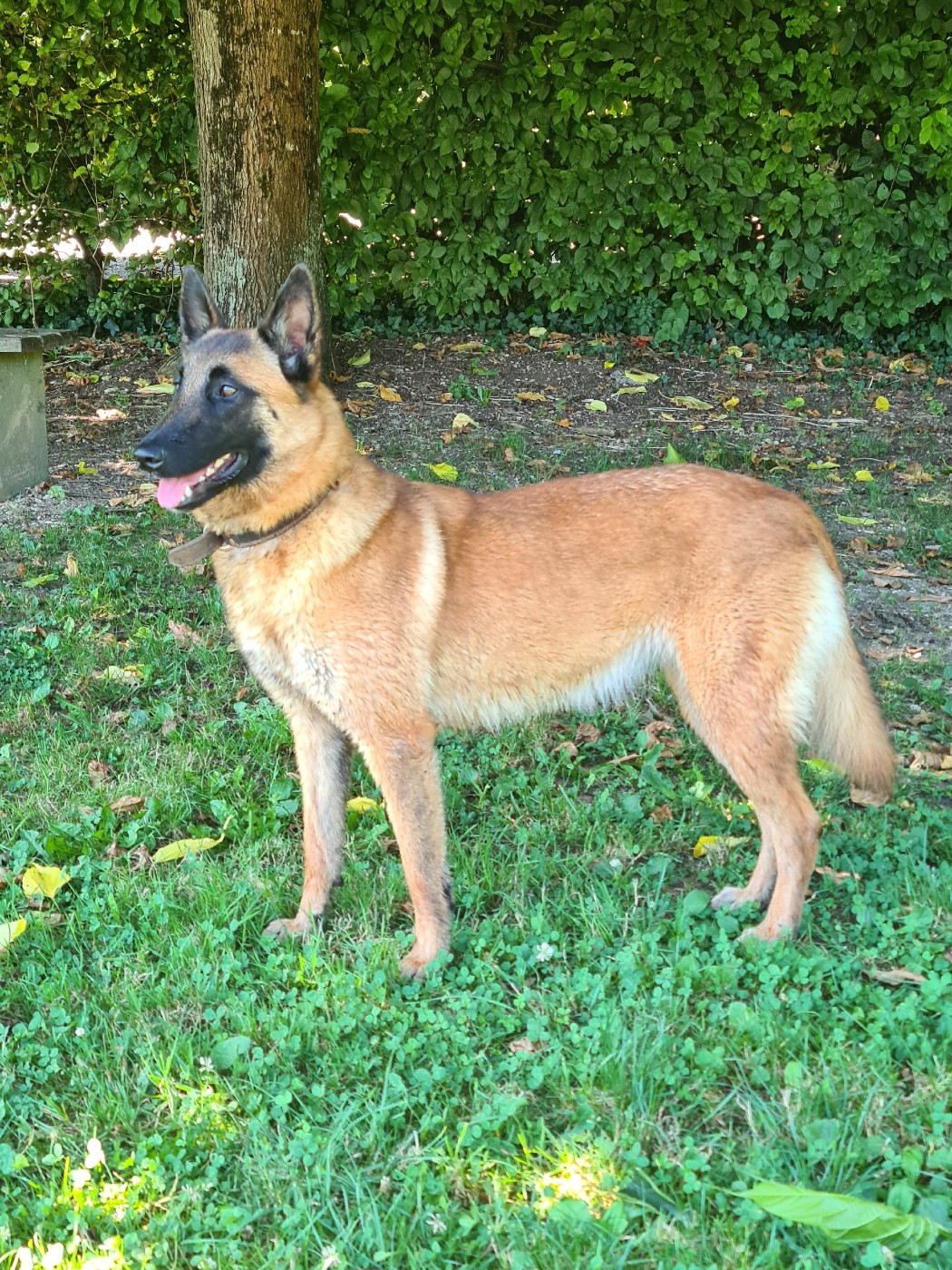 Utah De La Butte Des Crocs Blancs