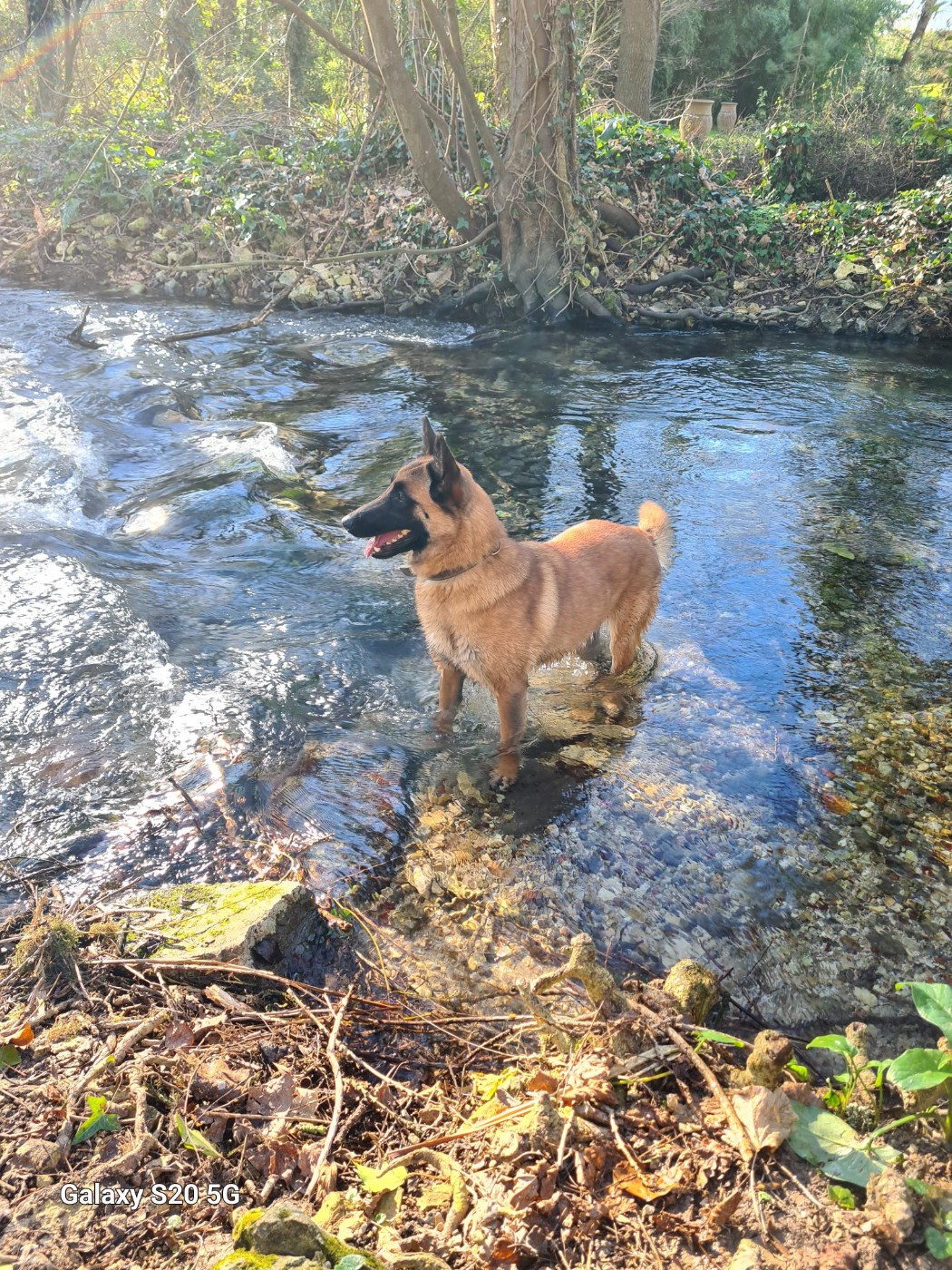 Utah De La Butte Des Crocs Blancs
