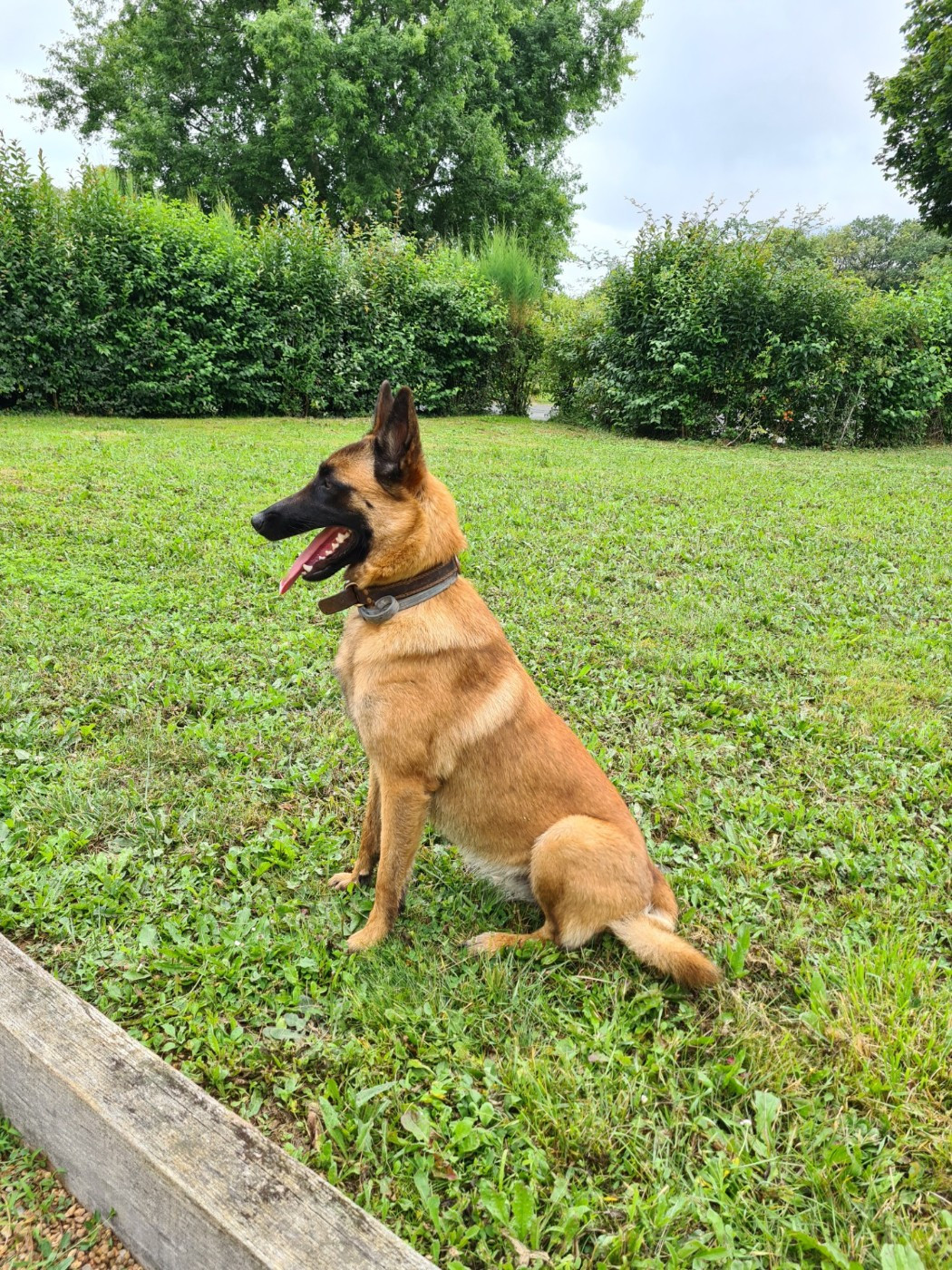 Utah De La Butte Des Crocs Blancs