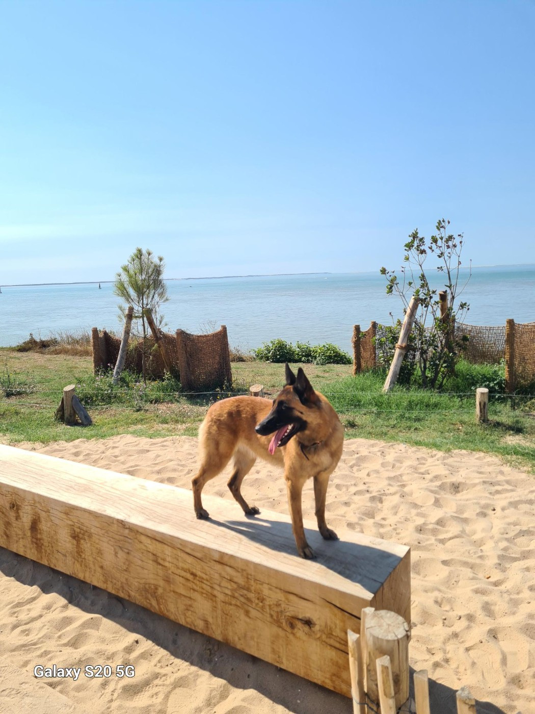 Utah De La Butte Des Crocs Blancs